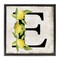 Stupell Industries E with Lemon Letter Floater Framed Canvas Wall Art Design by Creatif Belle